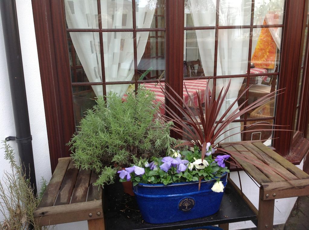 The Laurels Bed And Breakfast Cardiff Dış mekan fotoğraf